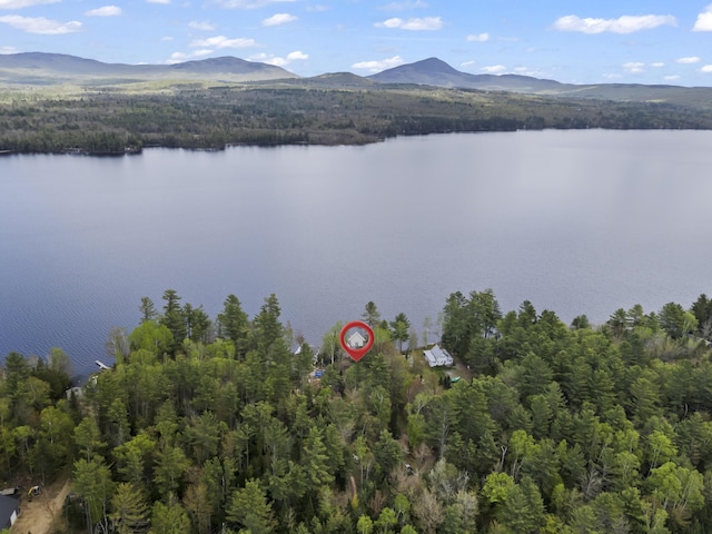 62 Lady Slipper Ln, Weld, ME 04285 - bird's eye view of a water and mountain view and a forest