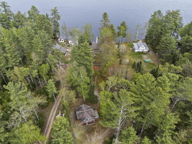 62 Lady Slipper Ln, Weld, ME 04285 - drone / aerial view of a large body of water