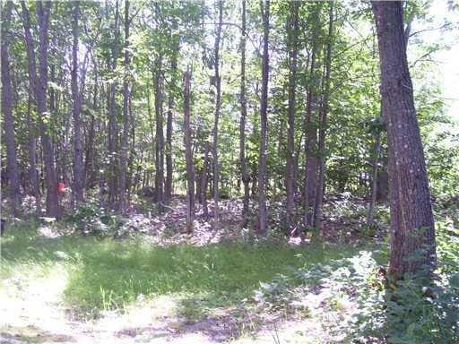 155 Greeleys Landing Rd, Dover-Foxcroft, ME 04426