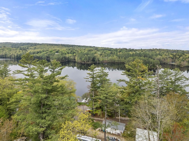 water view featuring a heavily wooded area