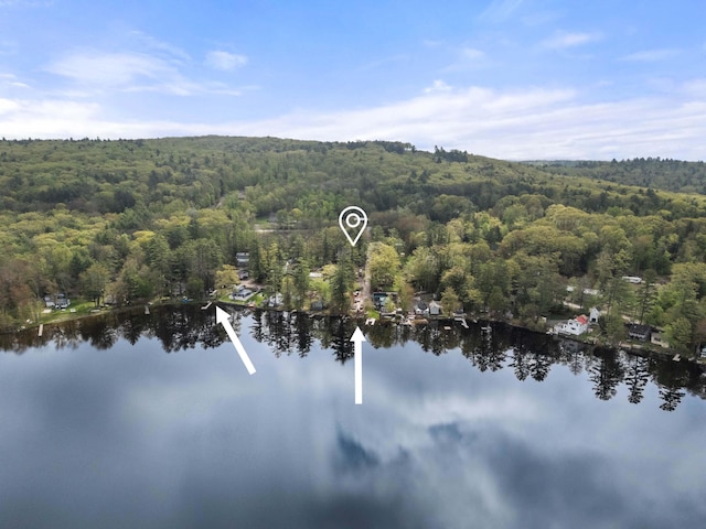 drone / aerial view of a forest and a large body of water