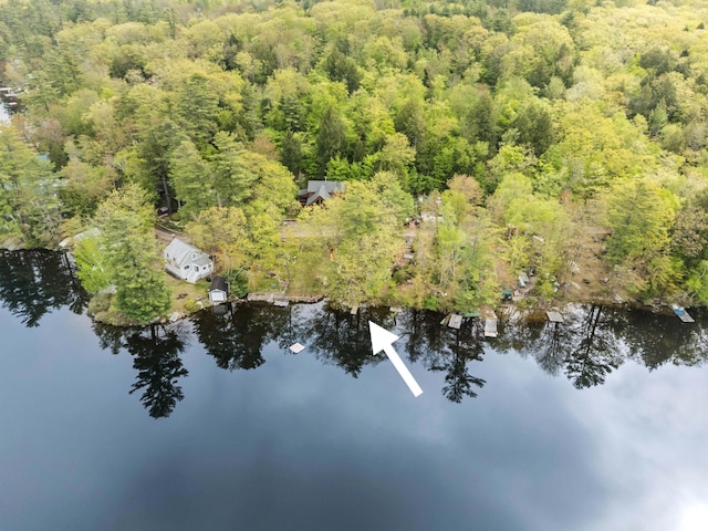 aerial overview of property's location with a forest and a nearby body of water