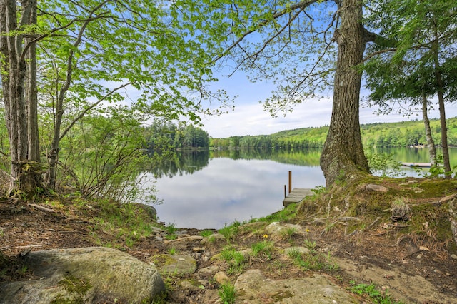 water view featuring a dock and a heavily wooded area
