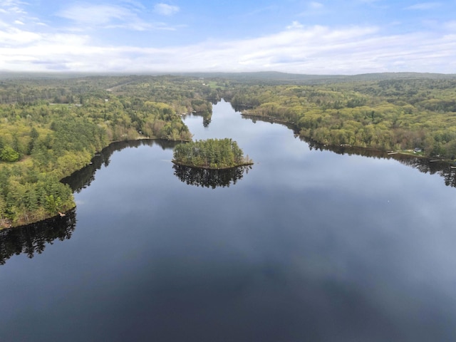 drone / aerial view of a heavily wooded area and a large body of water