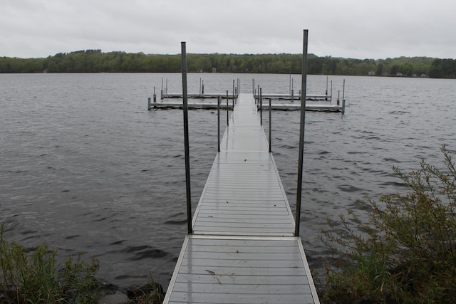1270 Lakeview Dr Unit 21, China, ME 04358 - dock area with a water view and a forest view