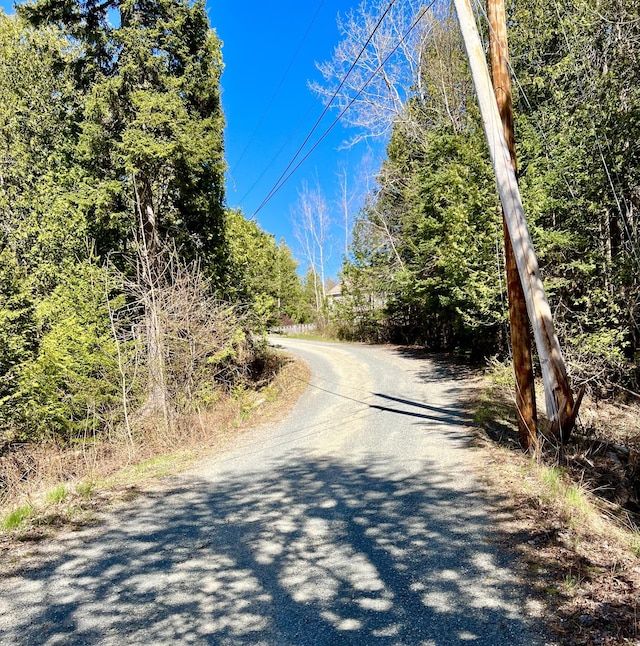 15 Miles Rd, Tremont, ME 04674 - view of street
