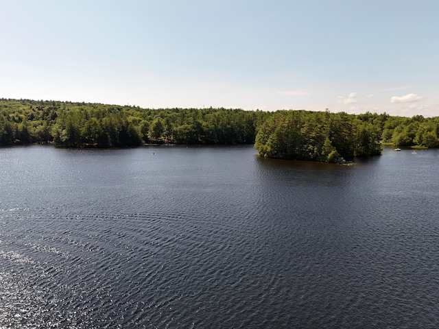 44 Vermont Ave, Greene, ME 04236 - photo 24