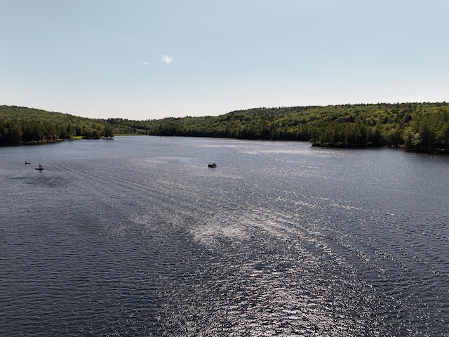 44 Vermont Ave, Greene, ME 04236 - photo 25
