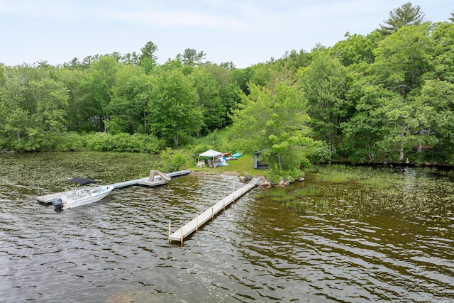 112 Charlie O Way, Jefferson, ME 04348 - photo 46