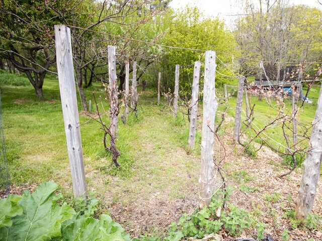 9 Juniper Ln, Damariscotta, ME 04543 - view of yard