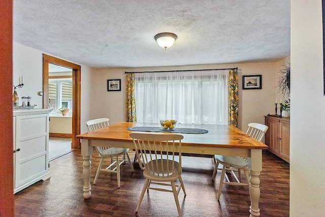 286 Canaan Rd, Clinton, ME 04927 - dining space with plenty of natural light, dark wood finished floors, a textured ceiling, and baseboards