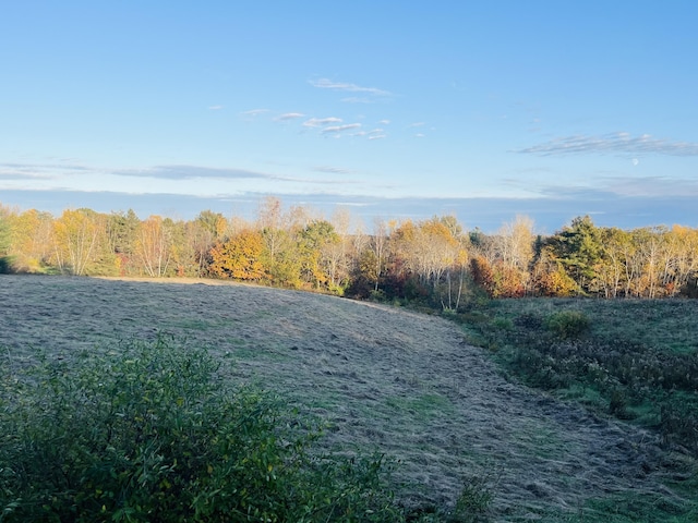 486 Main St, Orono, ME 04473 - water view with a heavily wooded area