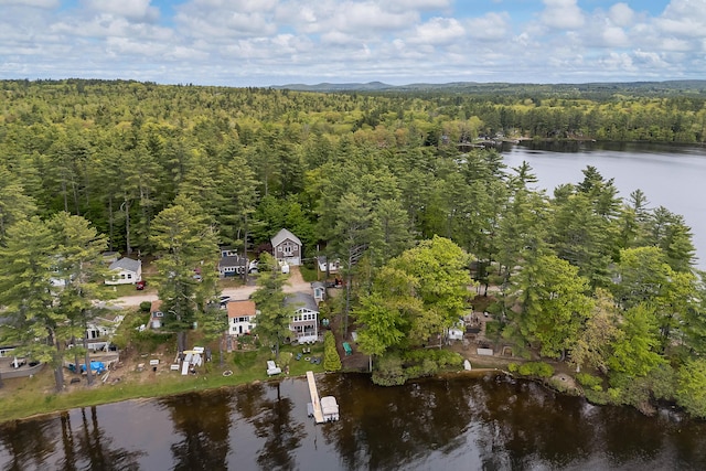 159 Loop Rd, Acton, ME 04001 - view of property location featuring a forest and a large body of water