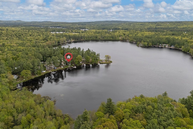 159 Loop Rd, Acton, ME 04001 - drone / aerial view of a heavily wooded area and a nearby body of water