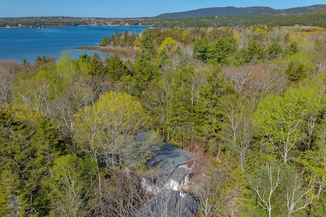 26 Tennis Club Rd, Mount Desert, ME 04662 - photo 38