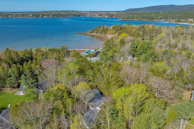 26 Tennis Club Rd, Mount Desert, ME 04662 - photo 40