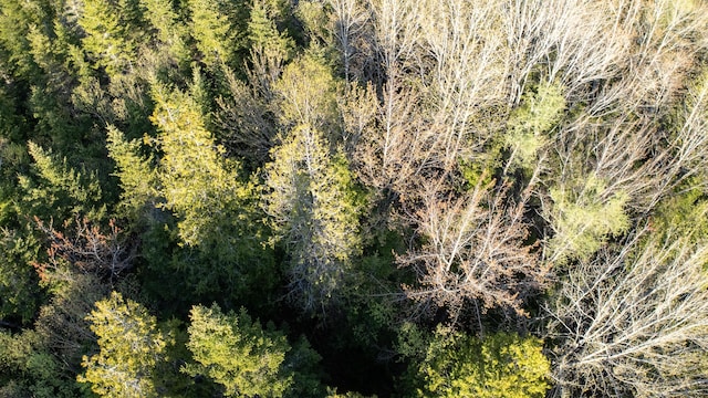LOT3 Looks Point Rd, Jonesboro, ME 04648