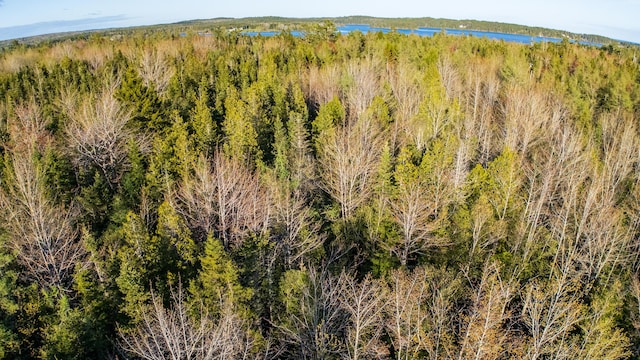 LOT3 Looks Point Rd, Jonesboro, ME 04648