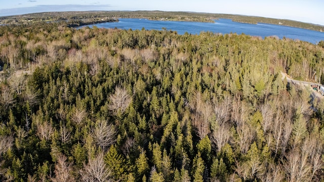 LOT3 Looks Point Rd, Jonesboro, ME 04648