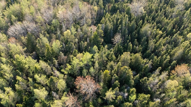 LOT3 Looks Point Rd, Jonesboro, ME 04648
