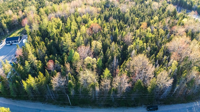 LOT3 Looks Point Rd, Jonesboro, ME 04648