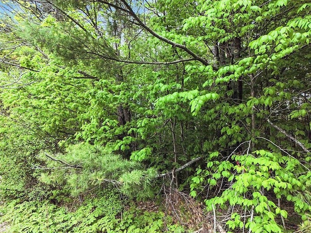 TBD Litchfield Rd, Hallowell, ME 04347