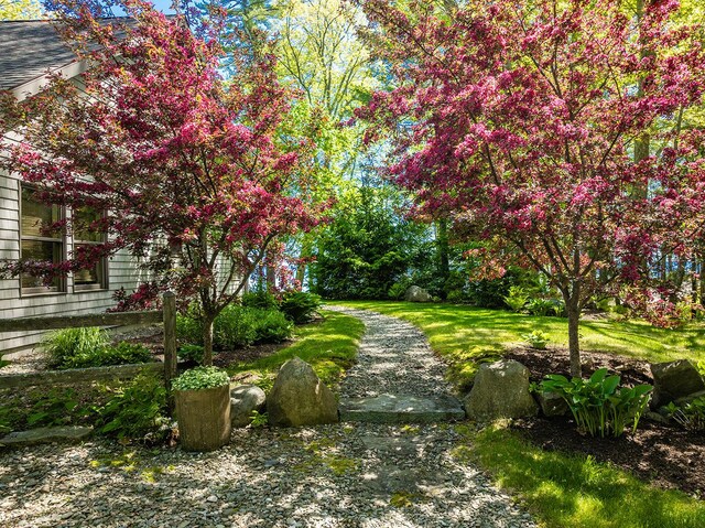 1496 Atlantic Hwy, Northport, ME 04849 - view of green lawn