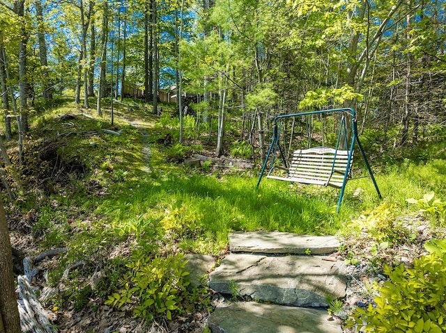 1496 Atlantic Hwy, Northport, ME 04849 - view of yard