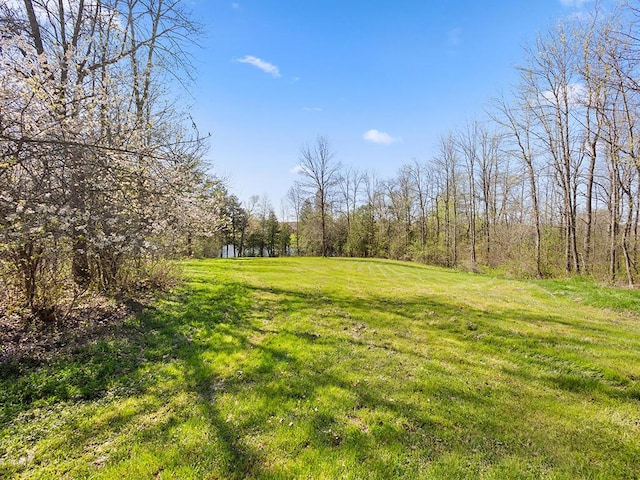 19 Falls Rd, Benton, ME 04901 - view of green lawn featuring a wooded view