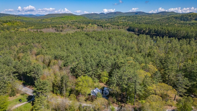 580 Norway Rd, Waterford, ME 04088 - view of property location featuring a forest and a mountainous background