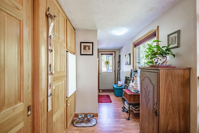 580 Norway Rd, Waterford, ME 04088 - foyer featuring light wood-style floors, a textured ceiling, and baseboards
