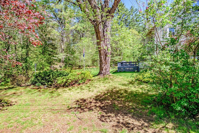 580 Norway Rd, Waterford, ME 04088 - view of green lawn featuring a deck