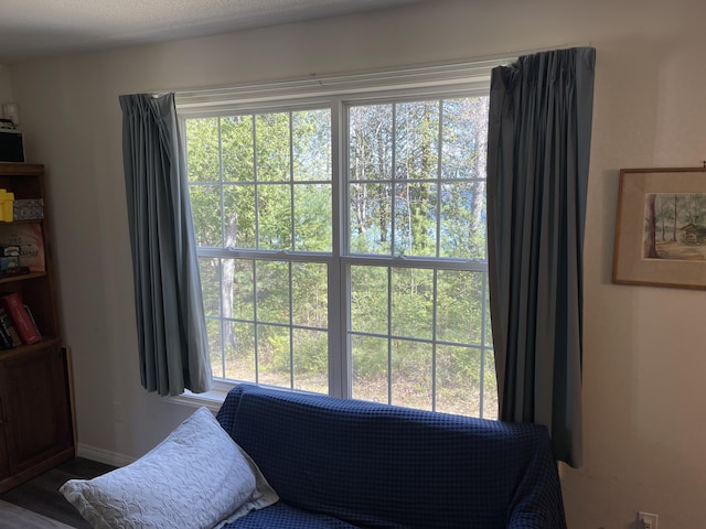 20 Chase Brook Dr, Alexander, ME 04694 - bedroom with multiple windows, baseboards, and wood finished floors