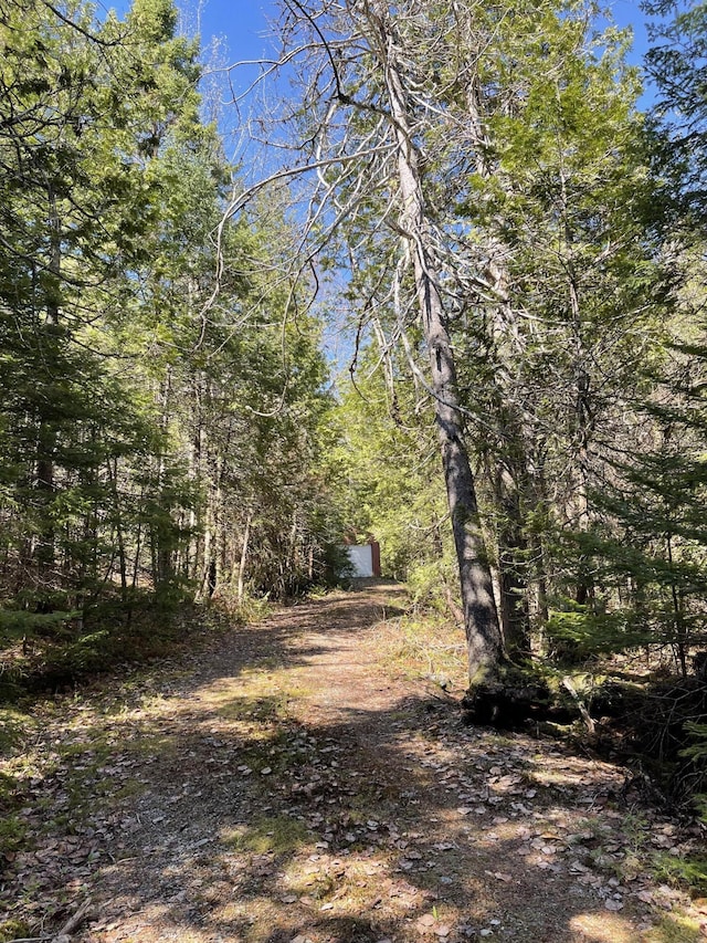 20 Chase Brook Dr, Alexander, ME 04694 - view of yard featuring a forest view