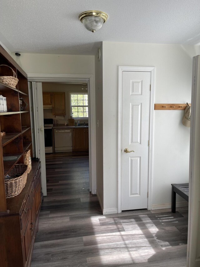 20 Chase Brook Dr, Alexander, ME 04694 - hallway featuring dark wood-style flooring, a sink, baseboards, and a textured ceiling