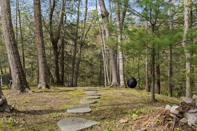 64 Old Kings Hwy, Ogunquit, ME 03907 - view of yard featuring a view of trees