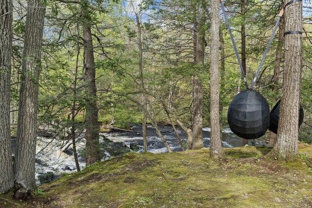 64 Old Kings Hwy, Ogunquit, ME 03907 - view of yard
