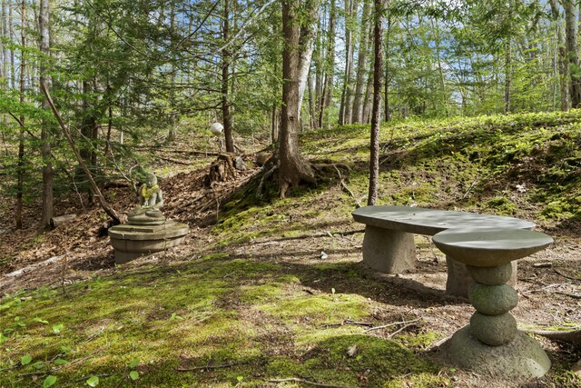 64 Old Kings Hwy, Ogunquit, ME 03907 - view of yard