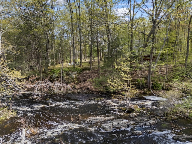64 Old Kings Hwy, Ogunquit, ME 03907 - view of local wilderness