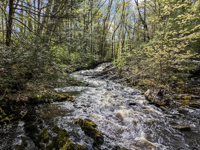 64 Old Kings Hwy, Ogunquit, ME 03907 - view of local wilderness