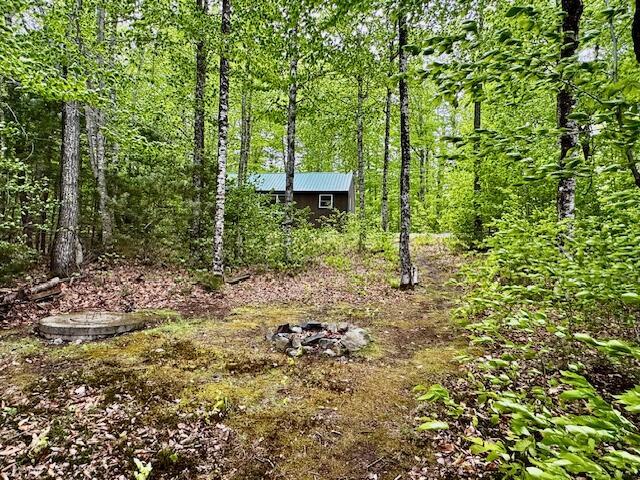57 Cranberry Dr, Embden, ME 04958 - view of yard featuring a view of trees