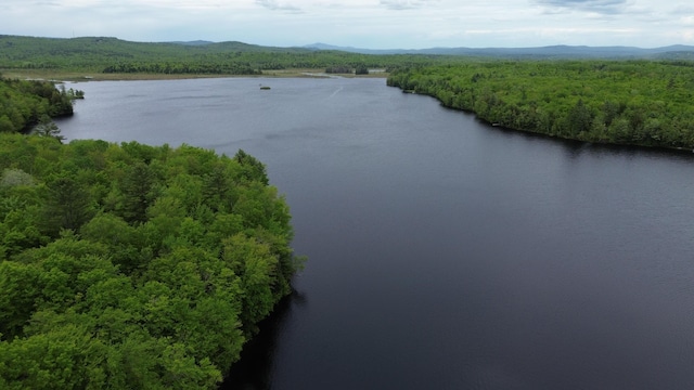 57 Cranberry Dr, Embden, ME 04958 - bird's eye view of a forest and a water and mountain view