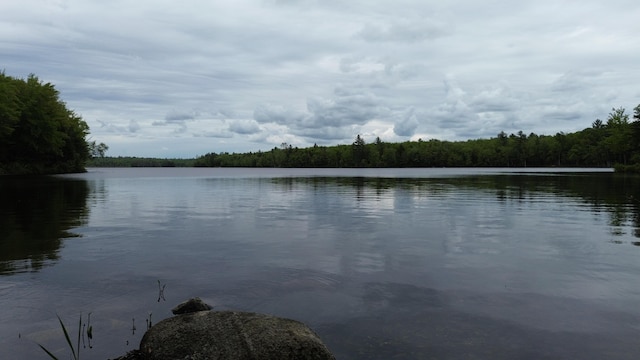 57 Cranberry Dr, Embden, ME 04958 - water view with a forest