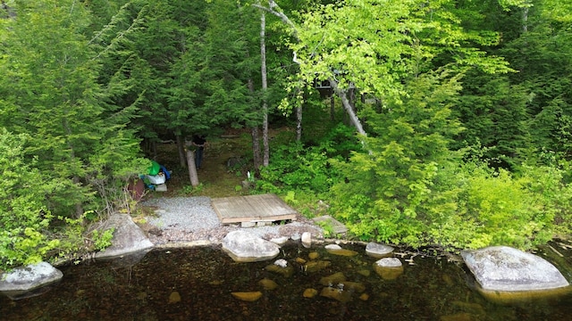 57 Cranberry Dr, Embden, ME 04958 - view of yard