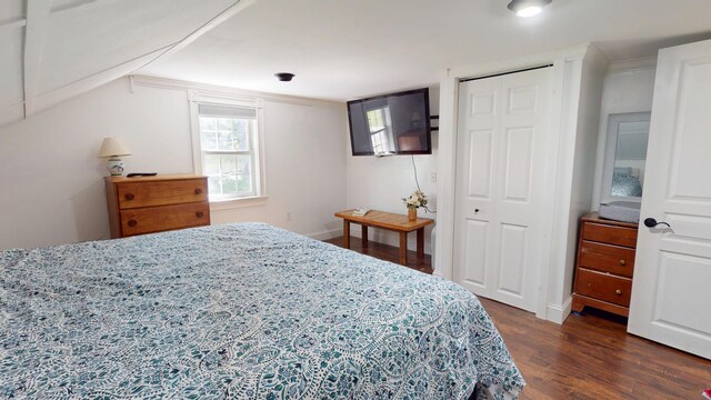 37 Enfield Rd, Lincoln, ME 04457 - bedroom featuring dark wood-style flooring, a closet, and baseboards
