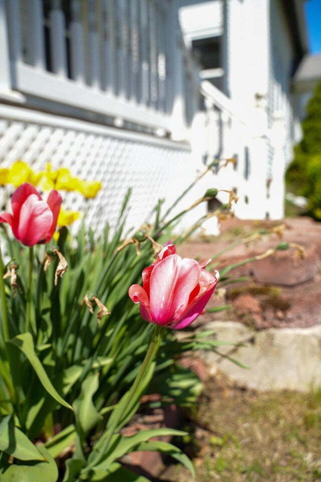 136 Lancaster Ave, Bangor, ME 04401 - photo 11