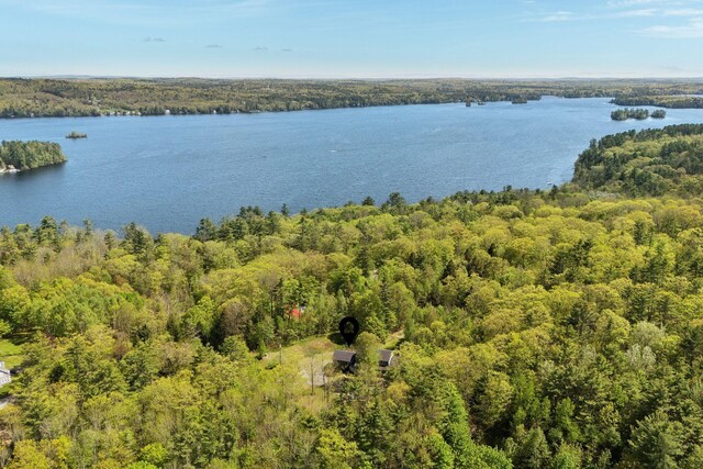 17 S Rd, Winthrop, ME 04364 - water view with a forest