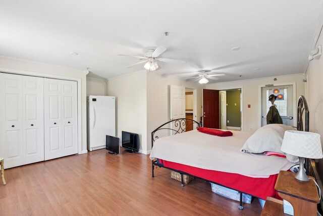 17 S Rd, Winthrop, ME 04364 - bedroom with freestanding refrigerator, wood finished floors, ornamental molding, a closet, and a ceiling fan