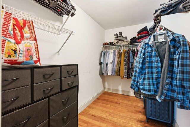 17 S Rd, Winthrop, ME 04364 - spacious closet featuring light wood-style flooring