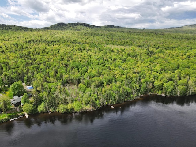 LOT19 Herr Trl, Adamstown Twp, ME 04970